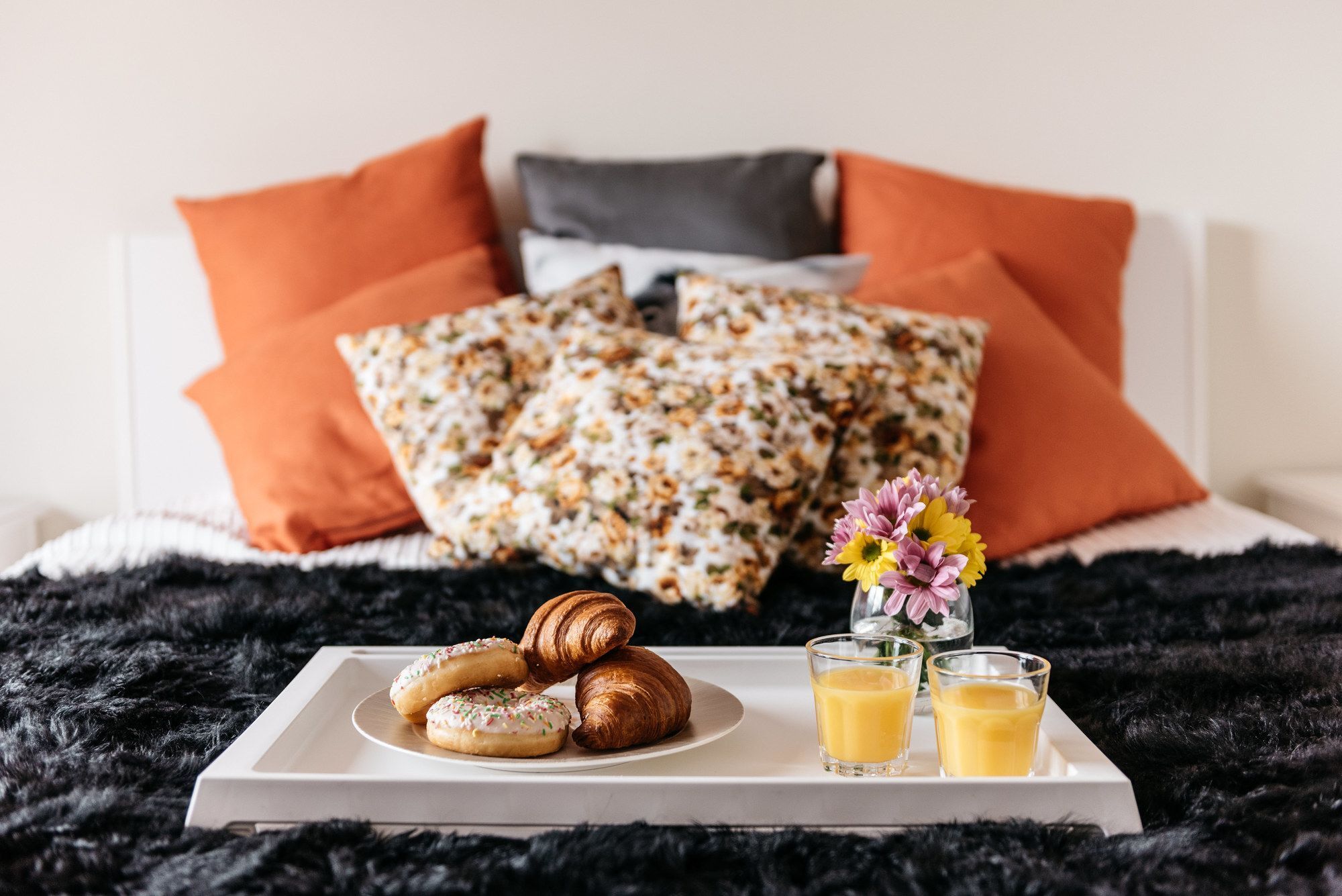 Rakowicka 20B Apartment Novum Kraków Zewnętrze zdjęcie