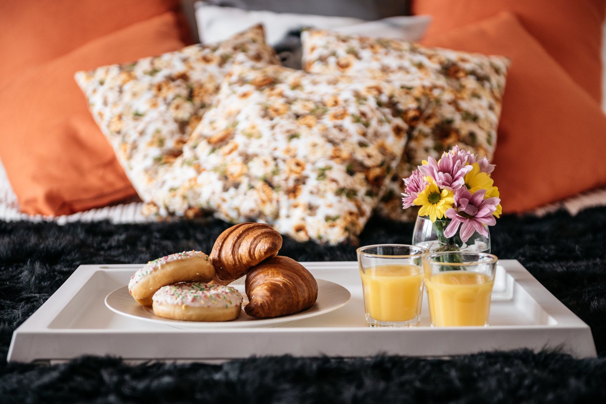 Rakowicka 20B Apartment Novum Kraków Zewnętrze zdjęcie